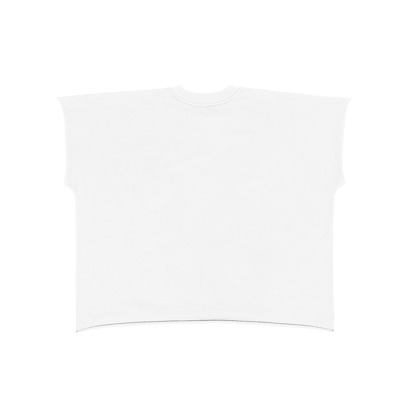 https://ajmall-vc-public-bucket.oss-us-west-1.aliyuncs.com/hugepod/material/custom_printing/97d85ed09fe14a1285d4bc277aa797c7.png ⟢ Anarchyland White t shirt viewed from the back laid flat on a white background oversized