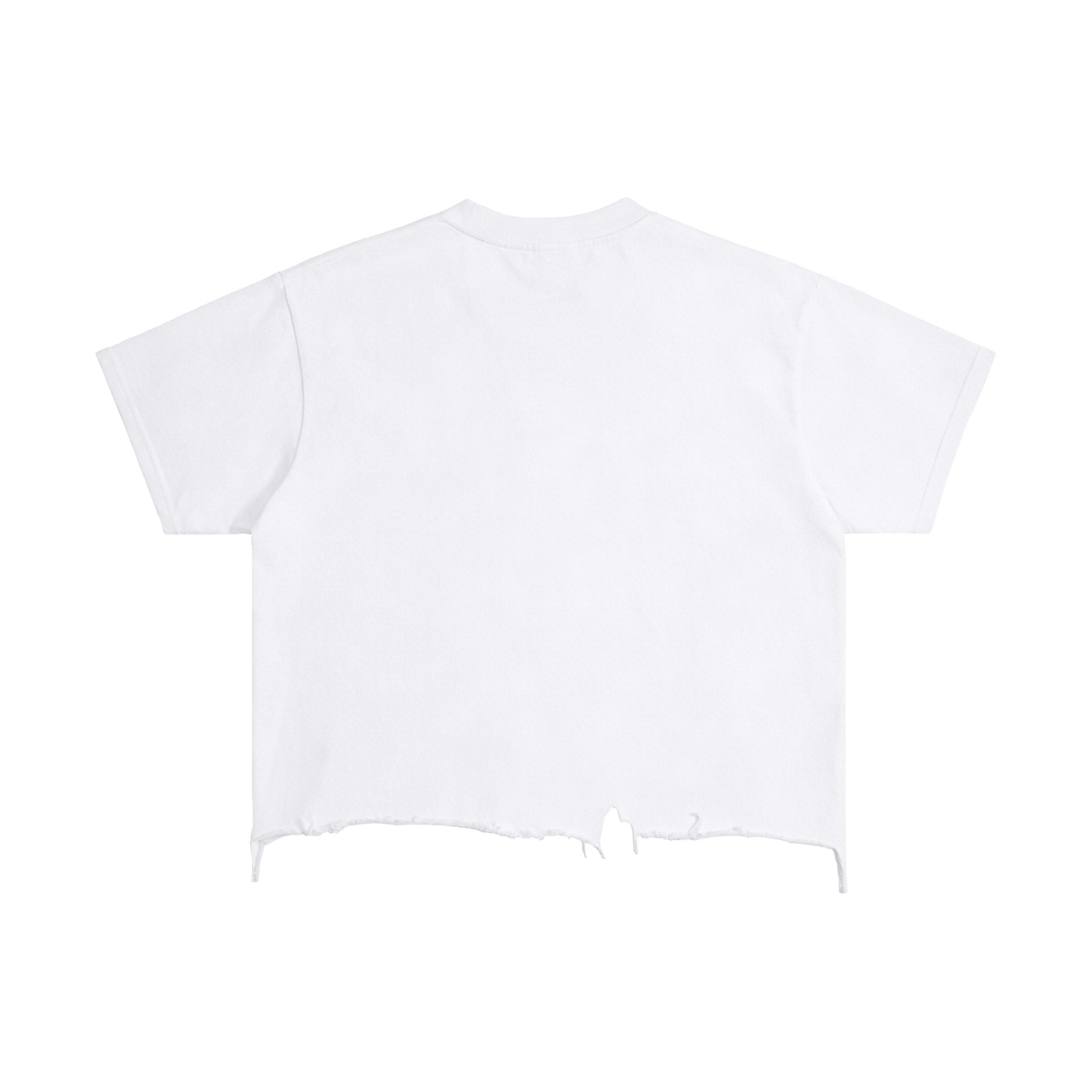 https://ajmall-vc-public-bucket.oss-us-west-1.aliyuncs.com/hugepod/material/custom_printing/9ab7fff83337467b82e754f8c0c2aeca.png ⟢ Anarchyland White short sleeve t shirt from the back with a distressed torn hem at the bottom